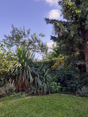 Gemütliche zentrumsnahe Ferienwohnungen mit Gemeinschaftsgarten